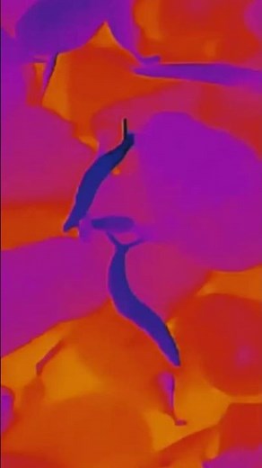 ナメクジ駆除方法 #ナメクジ #ナメクジ退治