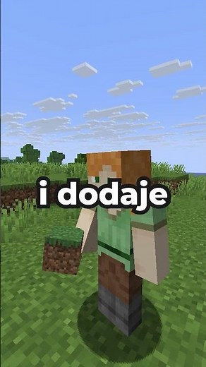 MINECRAFT W MINECRAFTCIE