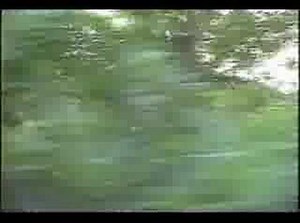 People Mover (Disneyland)