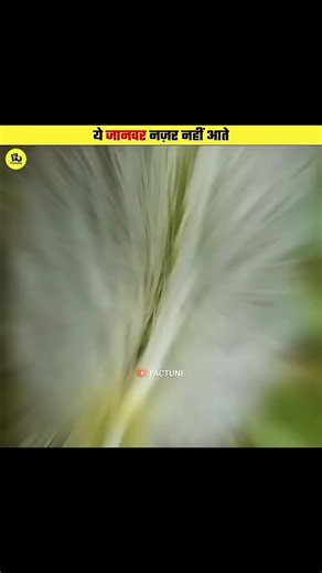 Ultimate Guide to Video Editing Techniques