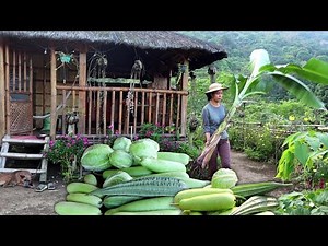 Harvest fresh vegetables, gardening, cooking | Filipino countryside