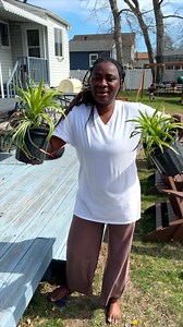 521K views · 6.8K reactions | She won’t leave me alone to do my work  | A Life Less Scripted | Facebook