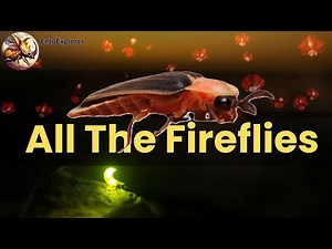 Introduction to Insect Taxonomy and Identification - Fireflies (Family Lampyridae)