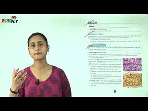 Ch 2 | Balaji | Biology | Class 7 | Animal Tissues | For children