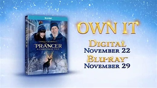 Prancer A Christmas Tale Movie