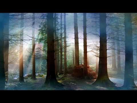 Bach Suite pour Orchestre n°3 Sarabande