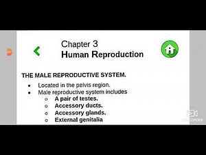 Class 12th ncert bio lesson 3 Human reproduction ( full notes) for board exam and neet