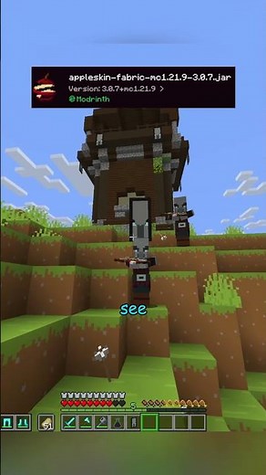 Rekrap2's mods!! #minecraft #lifestealsmp