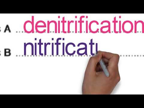 IGCSE 0610 41 Biology Paper 4 Extended Oct Nov 2019 Solution (ALA)