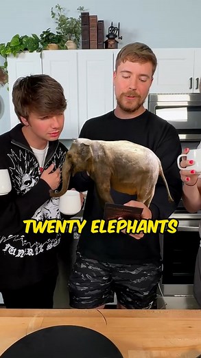 251K views · 2.8K reactions | Nolan said he liked it 廊… ☕️ #coffee #expensive #elephant #poop We tried the world’s most expensive coffee. | Karl Jacobs | Facebook