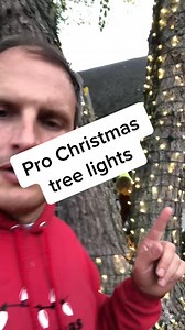How to branch wrap your trees like a pro with mini lights #christmasdecor #christmaslightinstallation | Fredrick Zimmerman