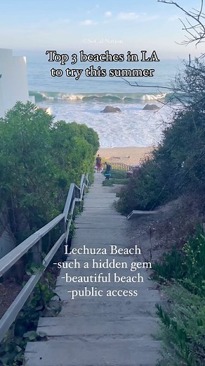 SoCal Nation® | Top 3 beaches in LA to check out this summer! 🌴🏖️🐚 ⓒSoCal Nation #socalnation #socal #southerncalifornia #california #socalliving... | Instagram