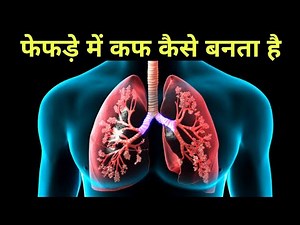 फेफड़े में बलगम कैसे बनता हैं? चिपचिपे पदार्थ का पूरा सच! - how mucus produce in lungs