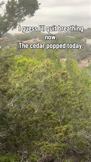 Prepare yourselves Texas! 😷 #cedar #texas #texashillcountry #itscoming #maskup