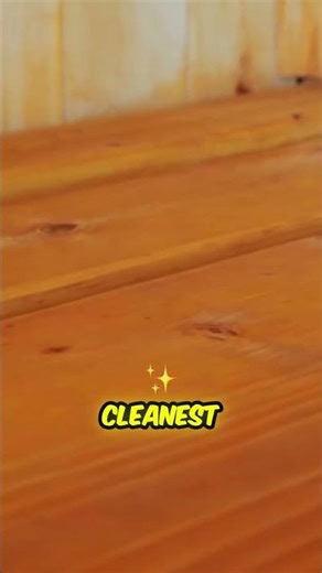 THE ULTIMATE Minecraft Wood Showdown! Wait 'til you see the winner...