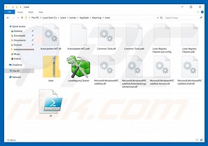 Lowe Registry Cleaner Unwanted Application