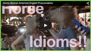 Horse Idioms! - Rachel's English