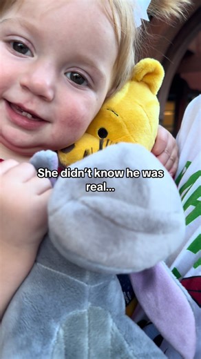 Magical Character Meets at Walt Disney World