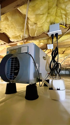 Large crawlspace encapsulation from the best in town.