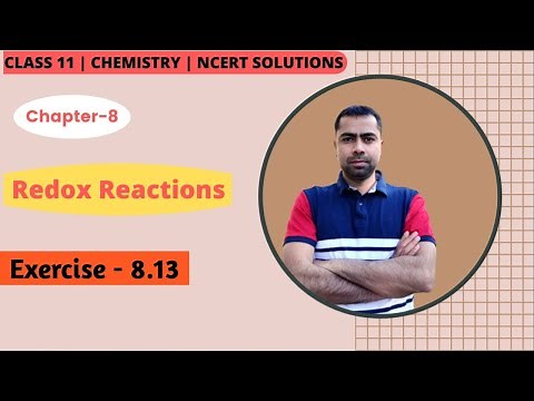 Class 11 Chemistry NCERT Solutions | Exercise 8.13 | Chapter 8 | Redox Reactions