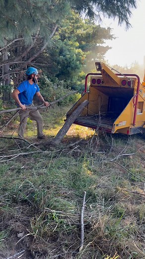 For any and ALL your tree needs give us a call 📞 -Tree removal, chipping, shaping 🌳 -Storm cleanup ⛈️ -Stump grinding 🪾 -Quality work ✅ -Outstanding customer service 🤝 📞 615-533-2332 🌐 www.thetreecompanytennessee.com #thetreecompany #localbusiness #treework #loveourcustomers | The TREE Company