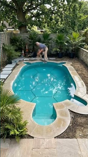 I Built a Turtle Pond in My Backyard… Here’s What Happened 🐢