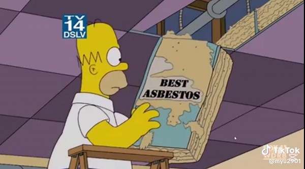 Simpsons asbestos #simpsons #funny #comedy #tv #television #show #tvshow #televisionshow #fyp #video #clips #tiktok #lennyleonard #homer