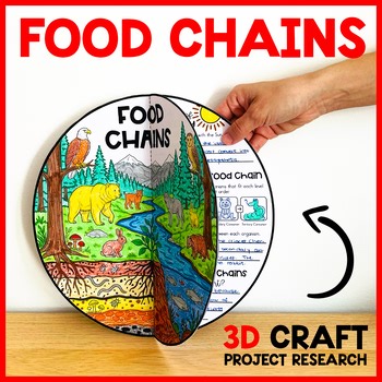 FOOD CHAINS Project Activity | Food Webs CRAFT 3D Model | ALL About Ecosystems