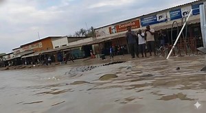 #Checheche #Chipinge Ngwena kuma shops | Dhliwayo The Photography