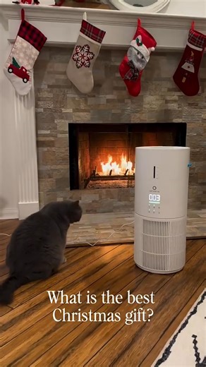 What’s the best Christmas gift for families with kids, pets, or winter allergies? 🎄🎁Something they’ll feel every day. The AEH300 Air Purifier & Humidifier Combo brings cleaner air, balanced humidity, and easier breathing all winter long — especially in dry states like Texas. Give comfort. Give health. Give a gift that actually makes life better. ❤️ | Airthereal