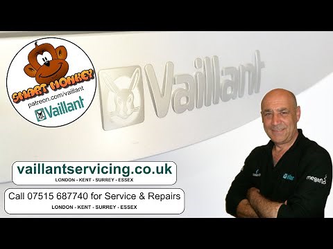 (No Adverts) Vaillant Ecotec Boiler, which one do you have? Tips on identifying your boiler...