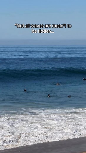 378K views · 851 reactions | Sometimes the best waves are meant to go unridden… #surf #surfing #waves | Surf Like Pro | Facebook