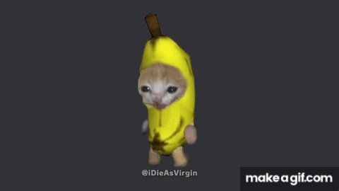 Banana cat running on Make a GIF