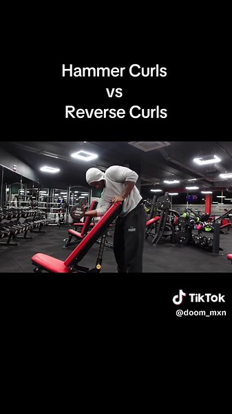 Maximize Gains with Hammer Curls vs Reverse Curls