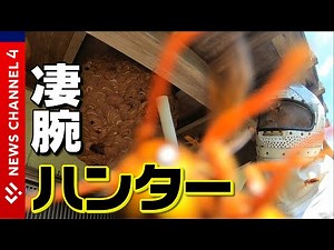 【スズメバチ】恐怖の巨大巣…駆除現場に密着＜NEWS CH.4＞