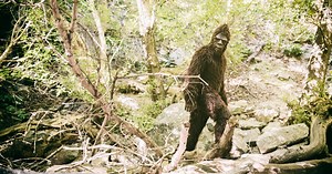 New Bigfoot Research Revealed, Findings Could Explain Most Sightings