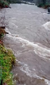 Abernathy Creek has turned into the Abernathy River ⛈️🌧️. If you see high water/flooding send us the photos. Be Safe. | Cowlitz County News