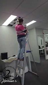 number 2 and 3 of carpet pythons in a roof