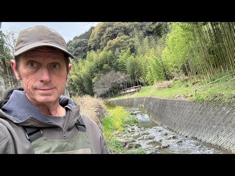 🇯🇵 U.S. Social Security From Japan… I Didn’t Expect This - Retiring in Japan