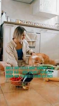 You Won't Believe What My Dog Did!The Secret to Happy Pet Ownership Revealed