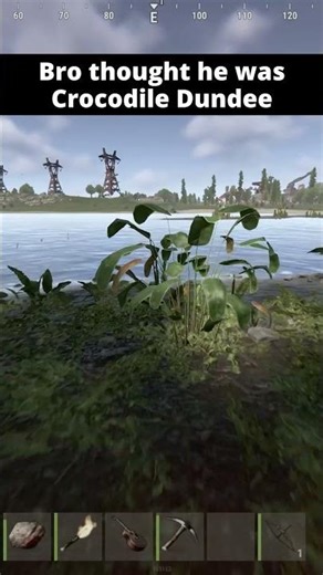 The Not-So-Friendly Pet in RUST