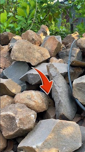 Rescue a rabbit trapped in a rock hole #rabbit #bunny #rescue #hope #animalshorts #help