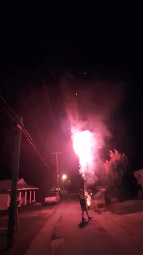 To celebrate the new year here its a video of a firework called zombie apocalypse that went a little crazy. #HappyNewYear #fypreelsシ゚viralシ #fireworks #celebration #starseverywhereシ | Sara Marion Sullivan