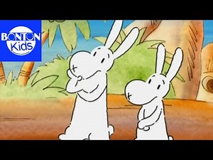 Bob & Bobby on the Road - The Island of Paradise