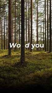 7.4K views · 65 reactions |  Wood you believe a forest can change...