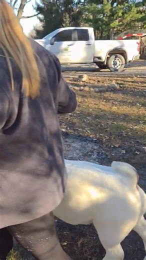 Bryan White on Reels