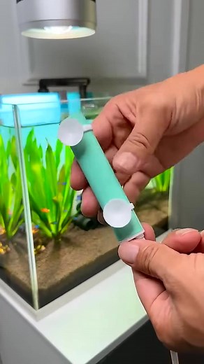 Favorite Small Filter for Aquarium design #trending #aquarium #fishaquarium #fishtanksetup #fish diy 82 | Aquatic Wonders Hub