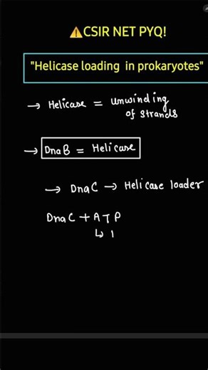 Bacterial Helicase Loading | DnaB–DnaC | CSIR NET PYQ