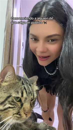 Watch This Cat Dance the Lambada!