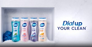 Dial Spring Water Body Wash, Refresh & Renew, Gentle on All Skin Types, 16 fl oz